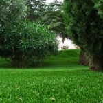 Pourquoi opter pour la pelouse synthétique ?