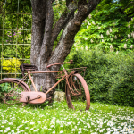 Vélo Vintage au Jardin