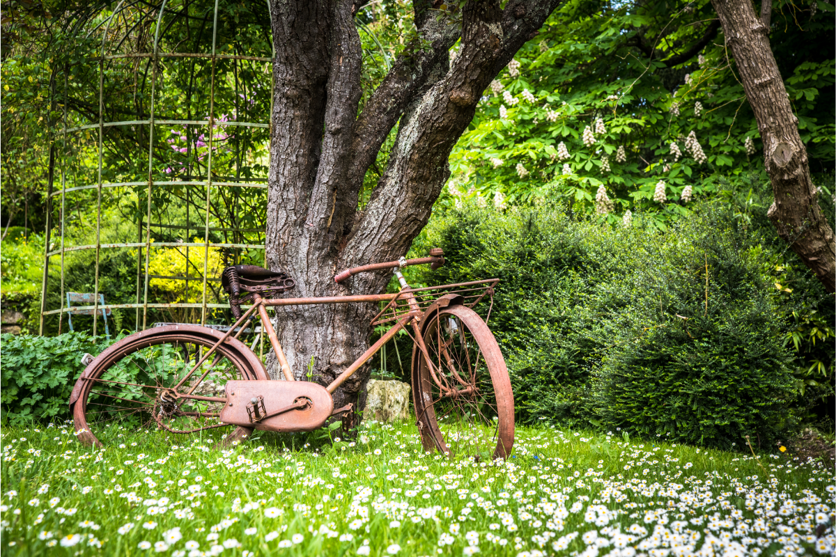 Vélo Vintage au Jardin