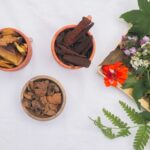 naturopathe certifié