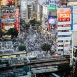 Immobilier commercial