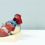 maladies cardio-vasculaires
