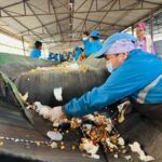 Des travailleurs trient des déchets alimentaires sur une chaîne de transport